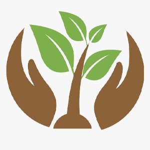 Ayurvedic Products